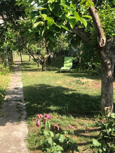 Chez Carmen Villa Алби Екстериор снимка